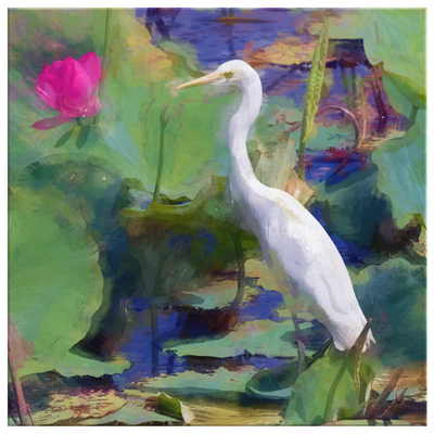 White Egret I Canvas Wrap