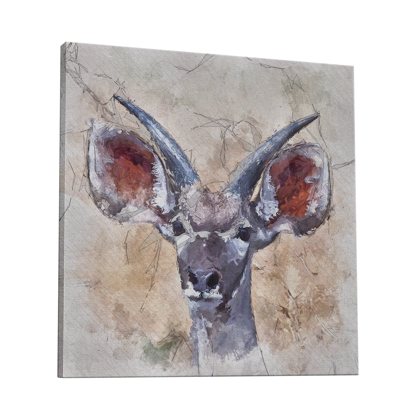Young Kudu Canvas Wrap
