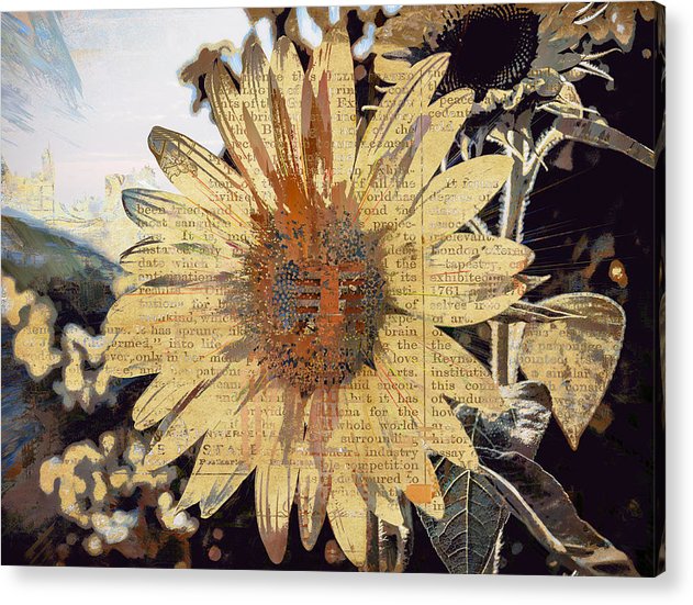 American Sunflower - Acrylic Print