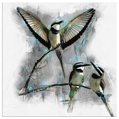 White Throated Bee Eater Canvas Wrap