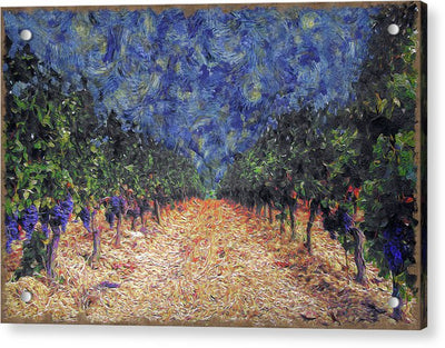 Starry Vineyard Night - Acrylic Print