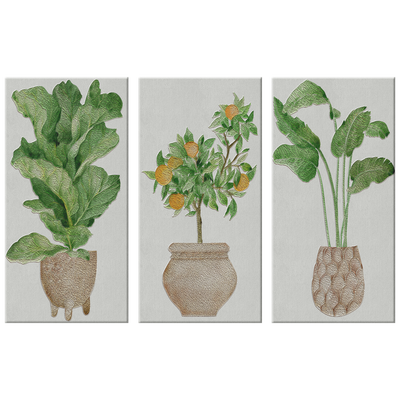 Potted Plants 180 Triptych