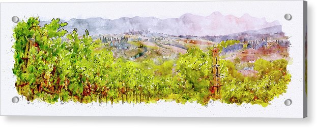 Vineyard Vines - Acrylic Print