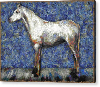 White Horse - Acrylic Print