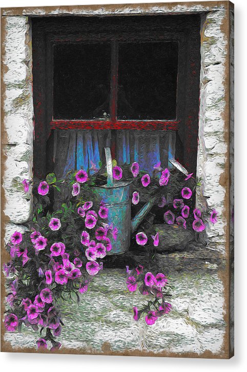 Window Flowers - Acrylic Print